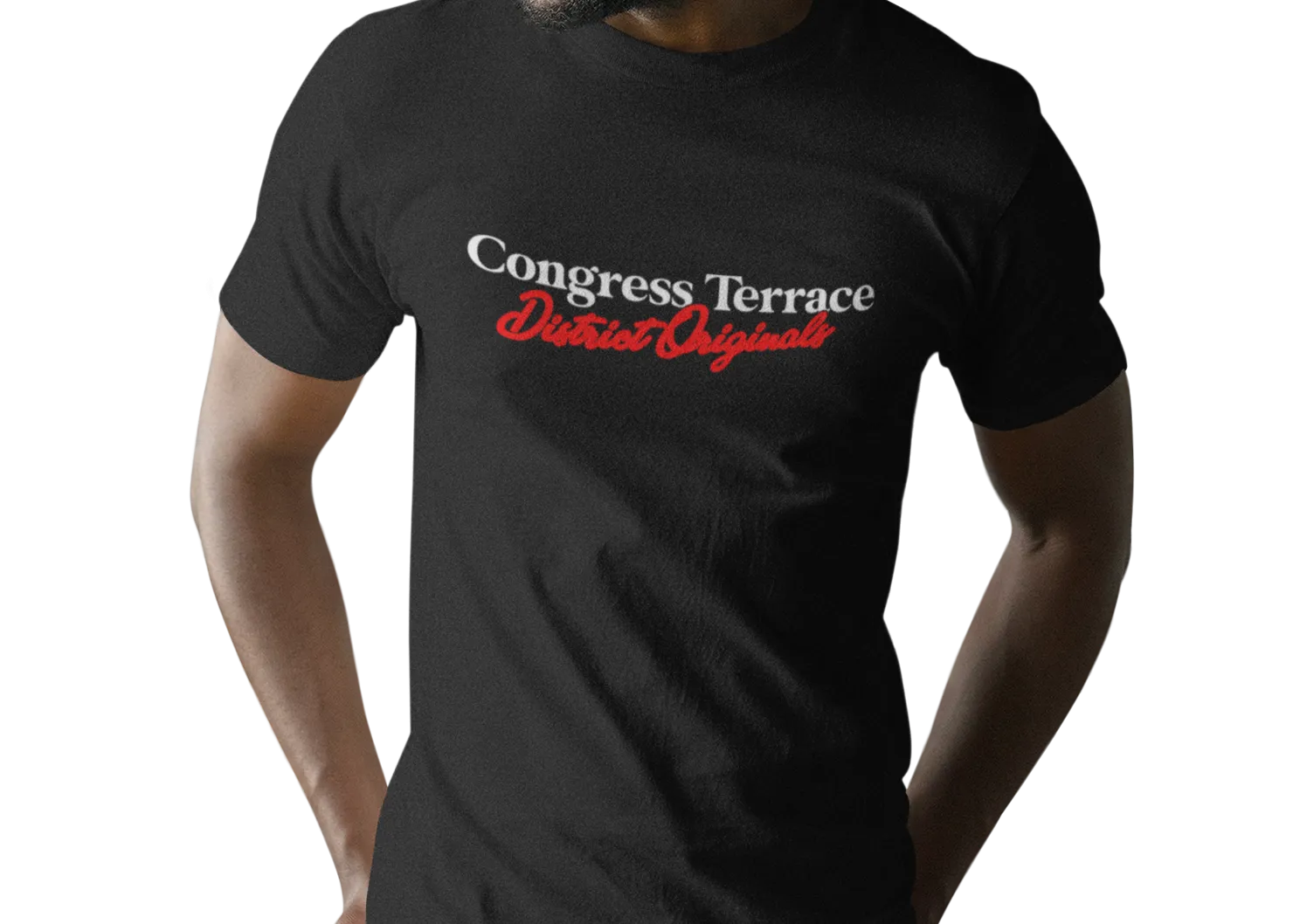 Congress Terrace Men's Tee