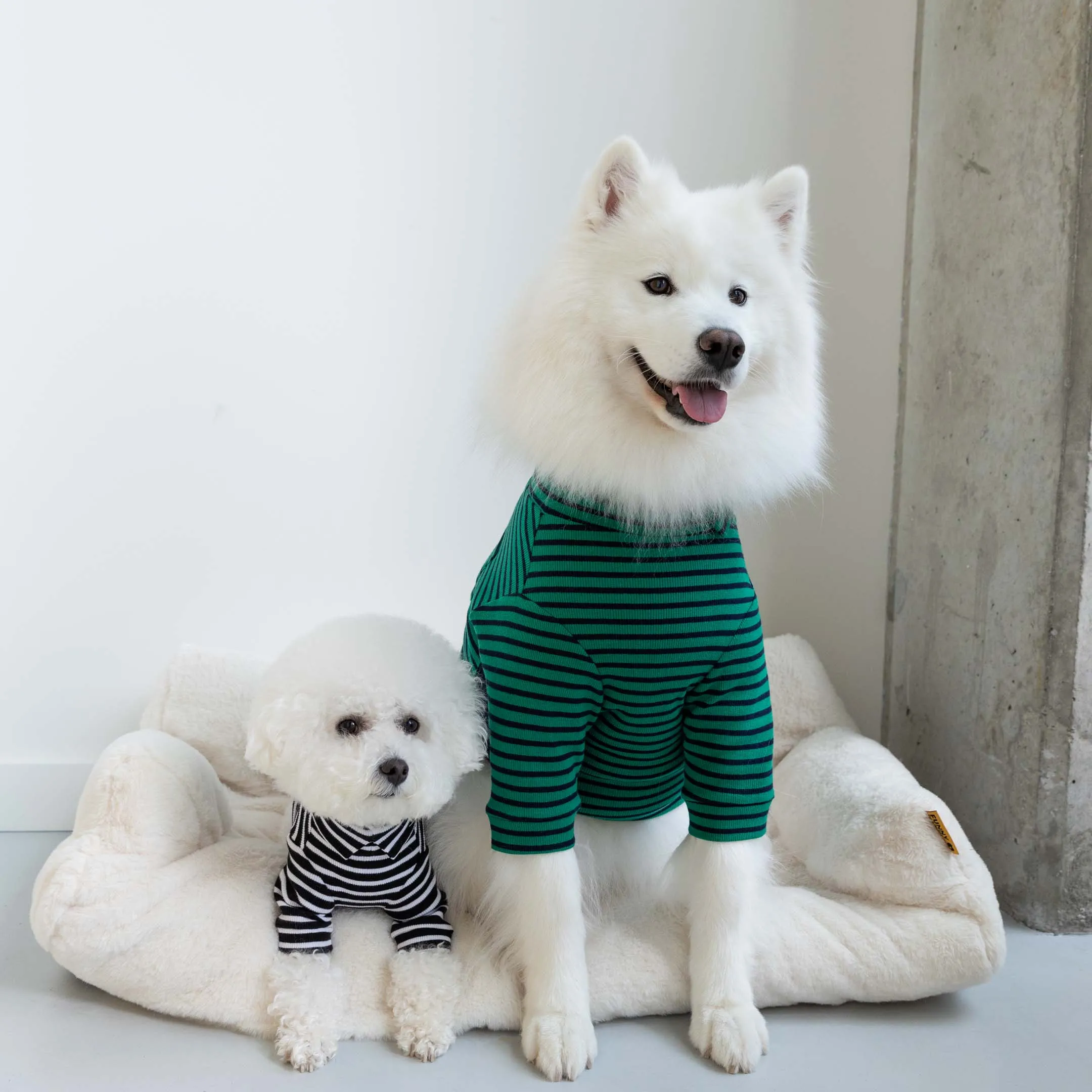 Green & Navy Stripe