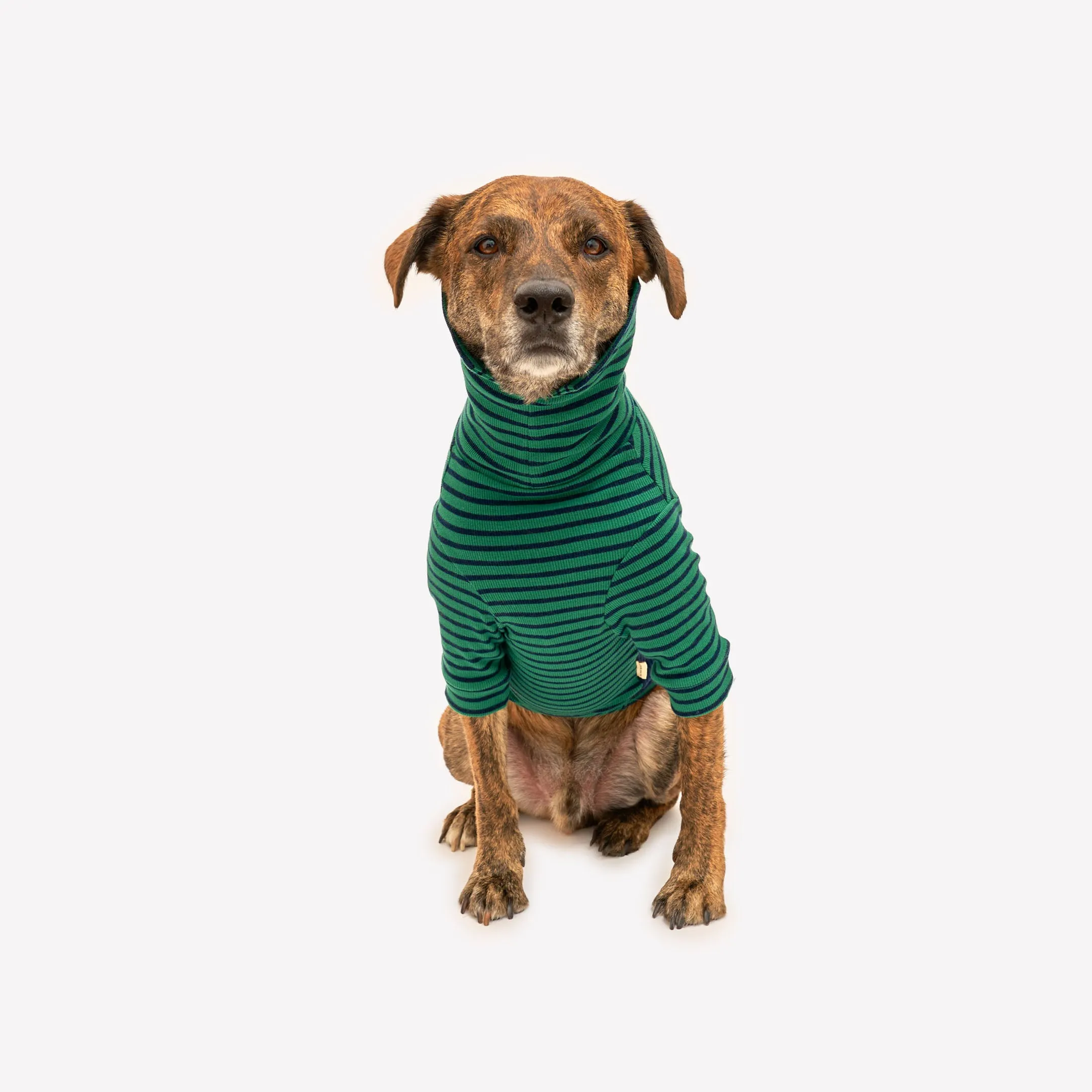 Green & Navy Stripe