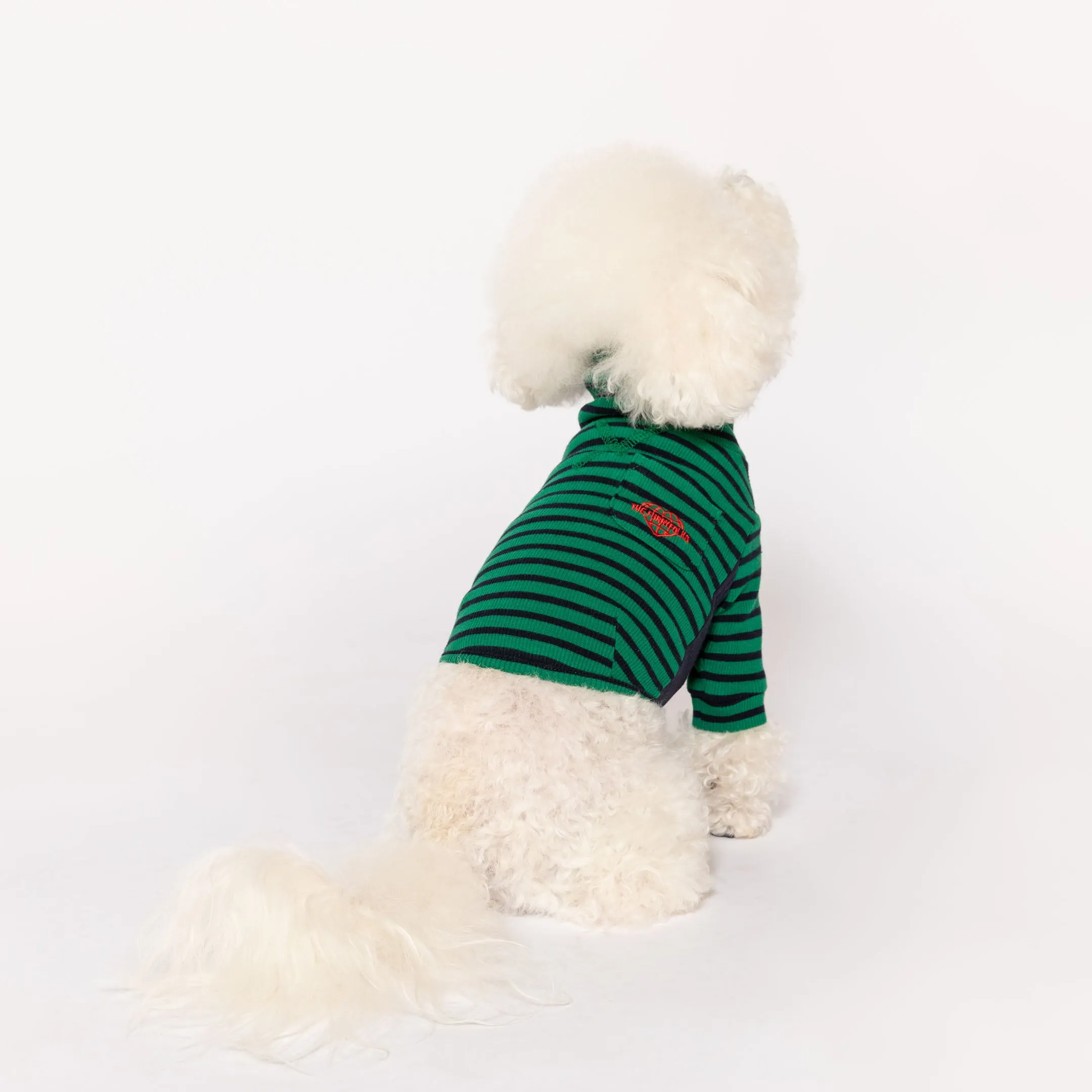 Green & Navy Stripe
