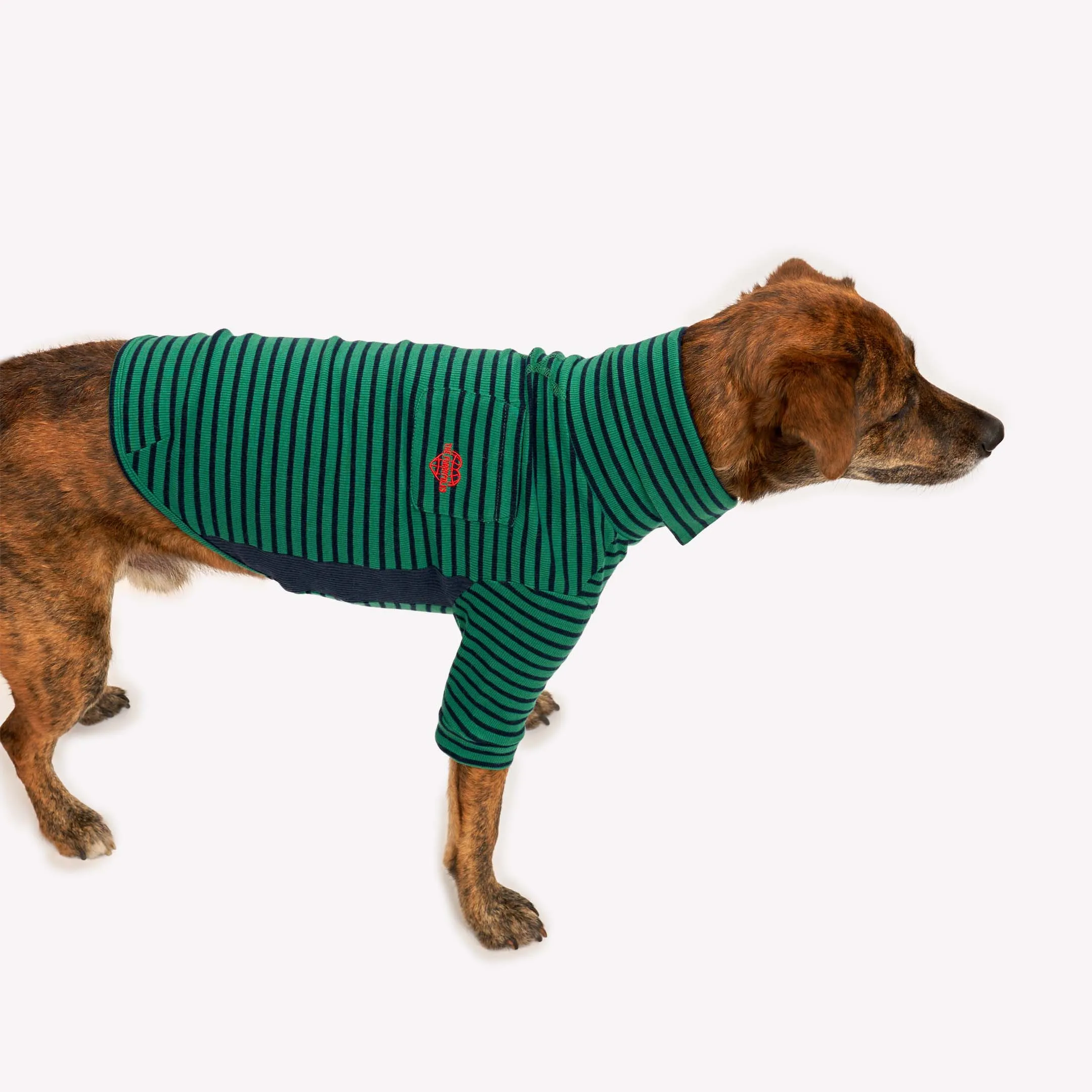 Green & Navy Stripe
