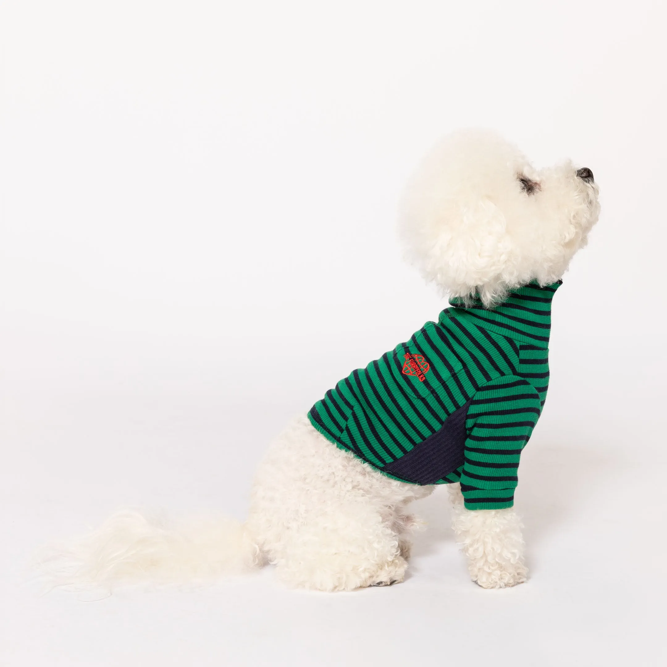 Green & Navy Stripe