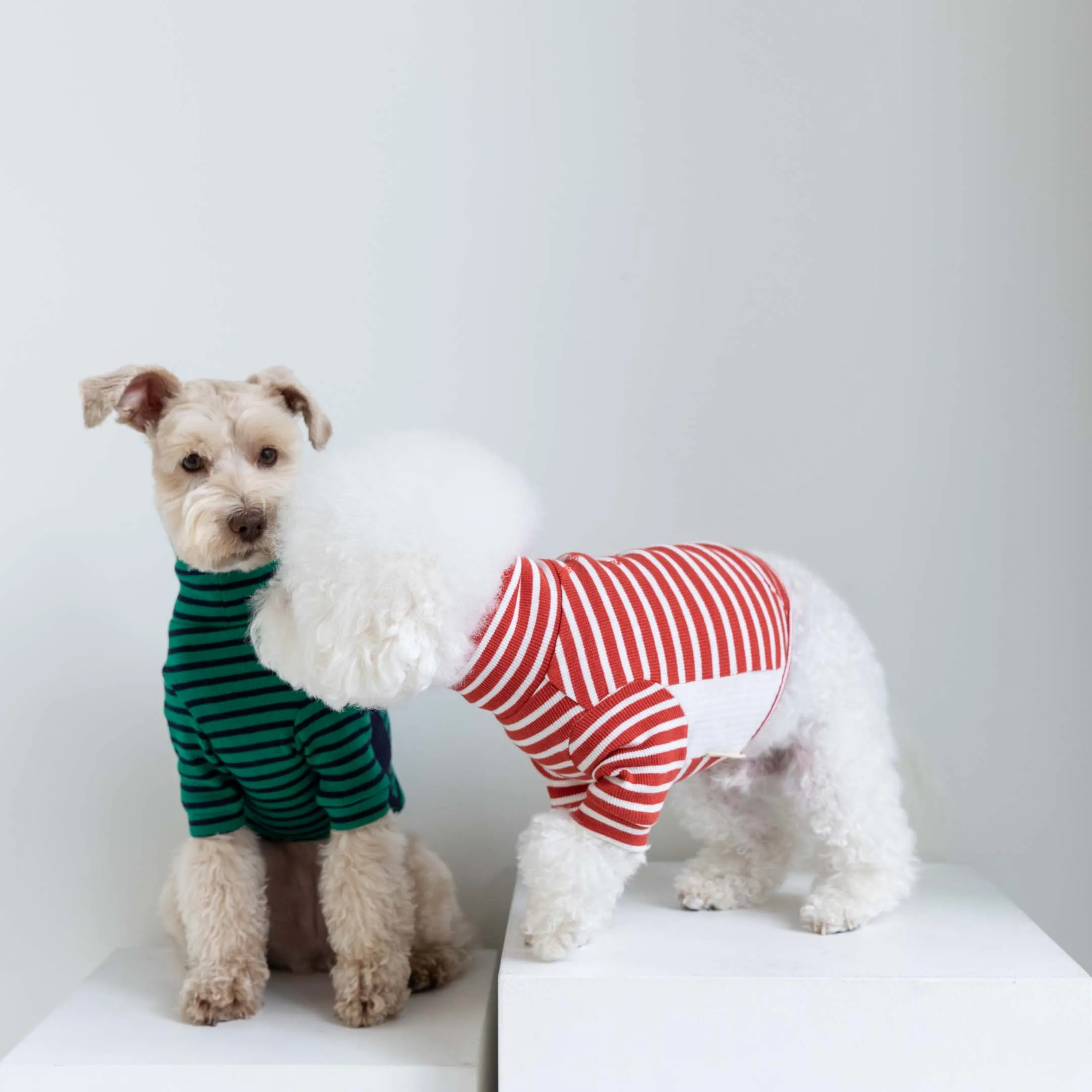 Green & Navy Stripe