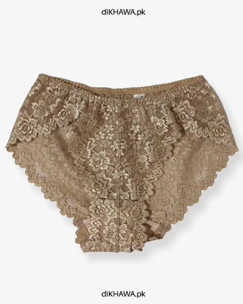 Imported Stocklot Branded Mid Waist Boyleg Panty In Net Panty Stretchable Net Lace Panty 2021