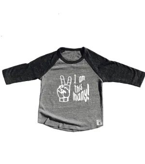 Toddler Baseball Tee Triblend Birthday Shirt I Am Two Second Birthday Toddler Birthday Shirt
